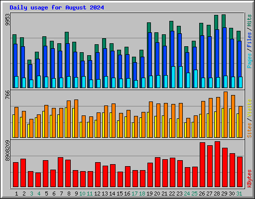 Daily usage for August 2024