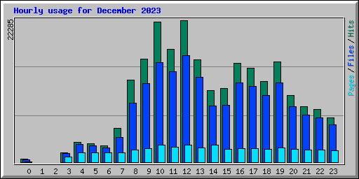 Hourly usage for December 2023