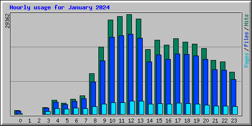 Hourly usage for January 2024