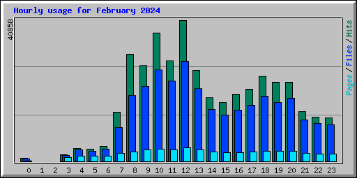 Hourly usage for February 2024