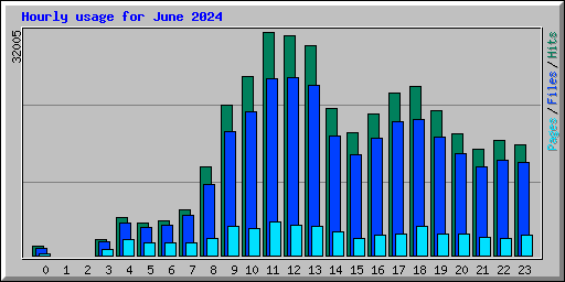 Hourly usage for June 2024