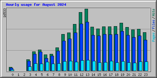 Hourly usage for August 2024