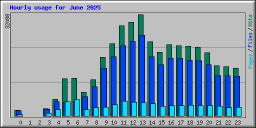 Hourly usage for June 2025
