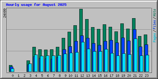 Hourly usage for August 2025