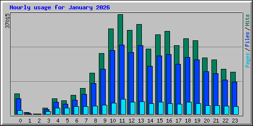 Hourly usage for January 2026